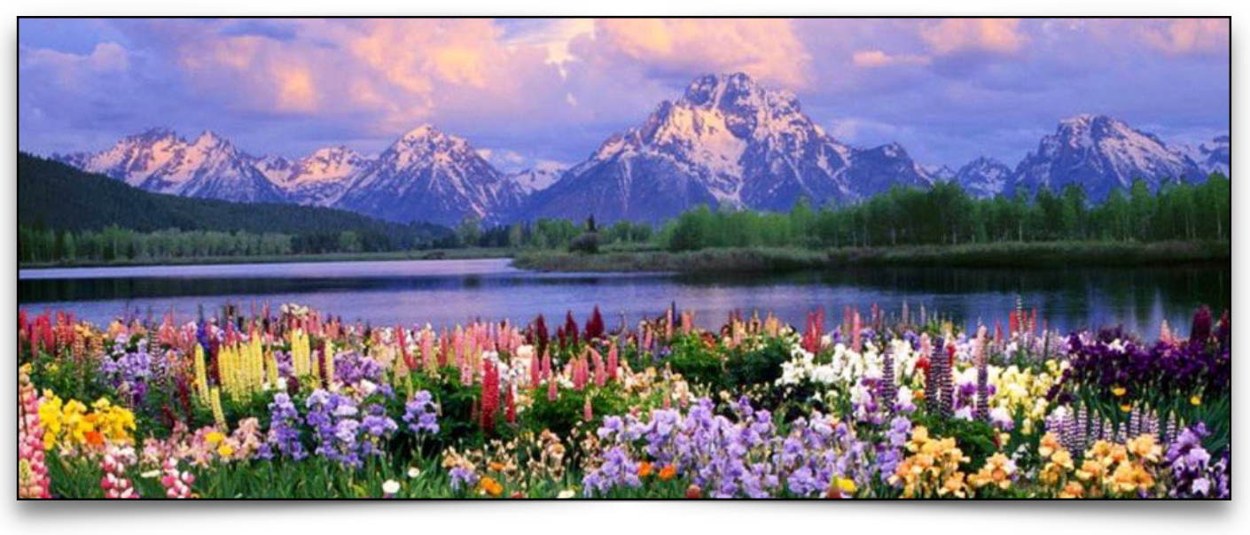 GEOG 1001 Environmental Systems 1: Climate and Vegetation | Geography ...