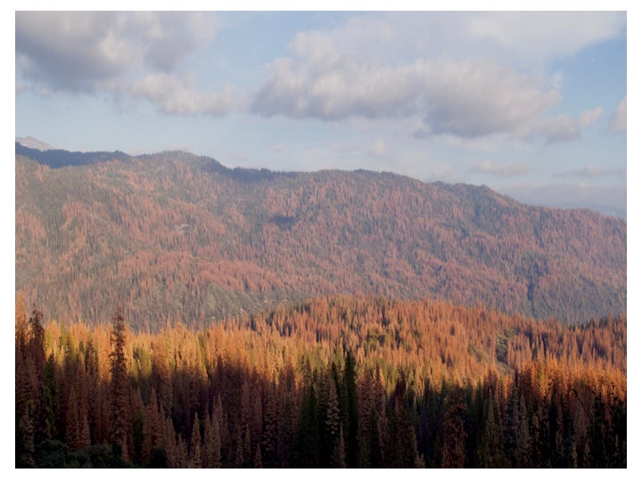 Cliff Riebe: How bedrock composition controls ecosystem productivity ...