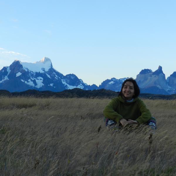 Vivi Huilinir-curio