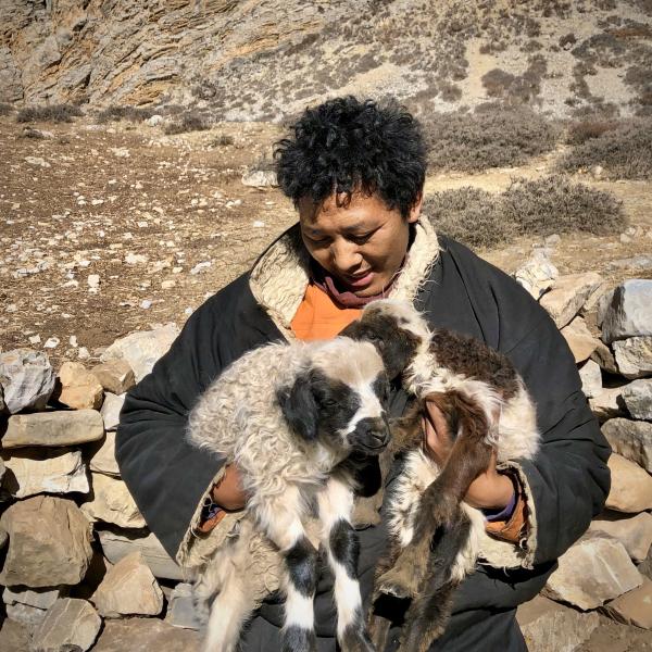 Phurwa and goats