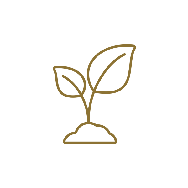 Environmental Earth Science Job Search