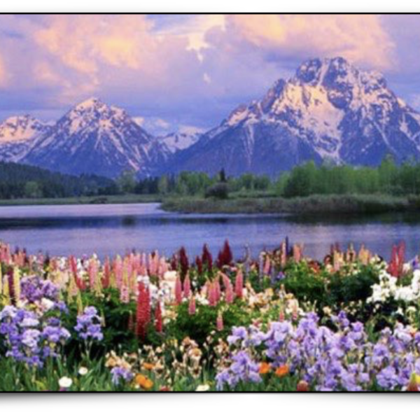 Mountain landscape with lake and foreground flowers