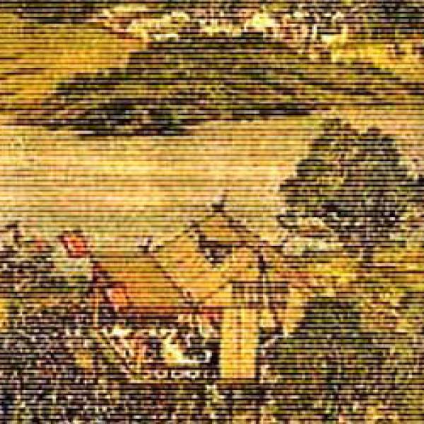 Asia image from a rug or textile artwork