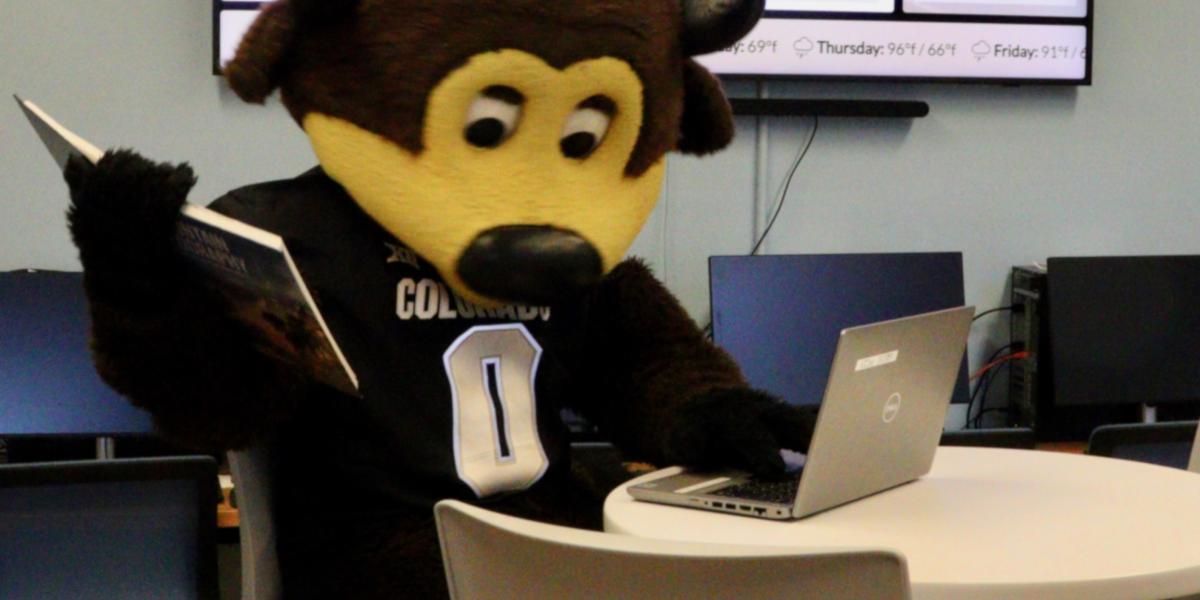 Chip Studying in the Lounge