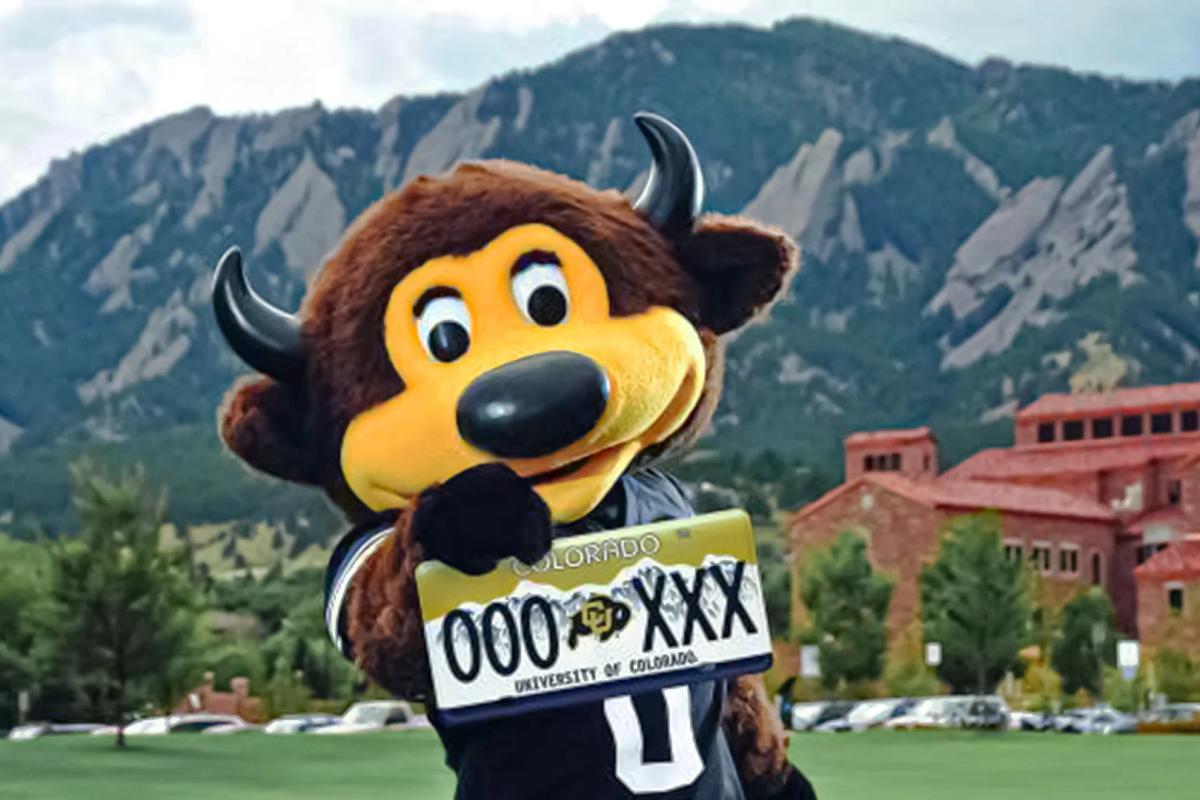 CU Mascot