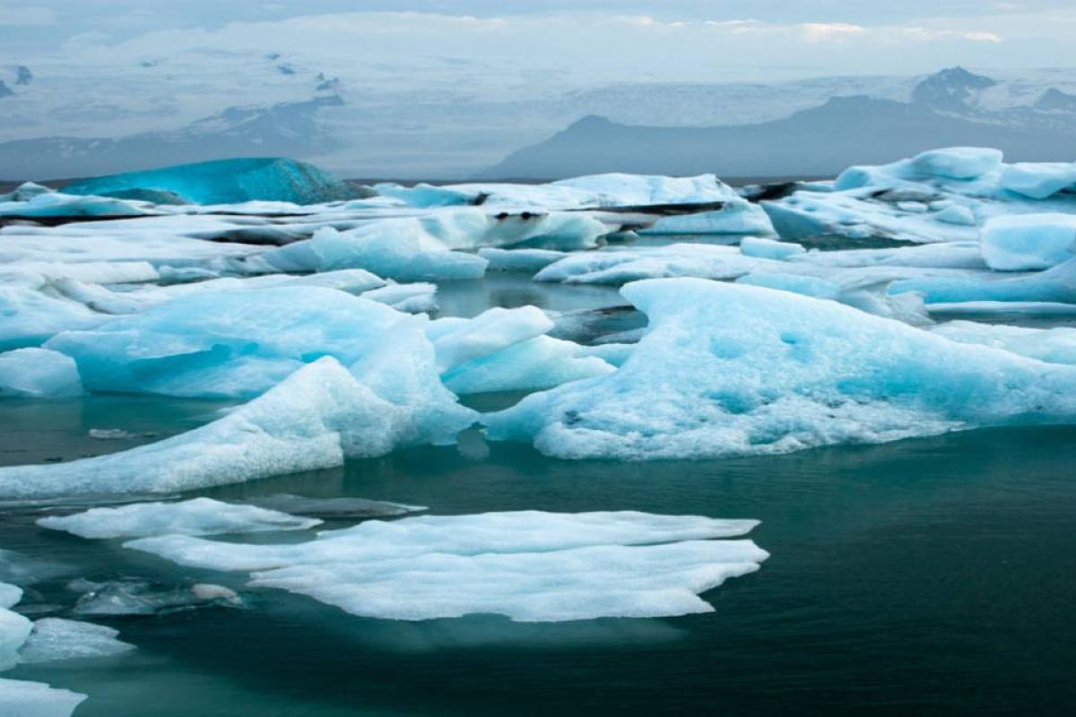 arctic sea ice