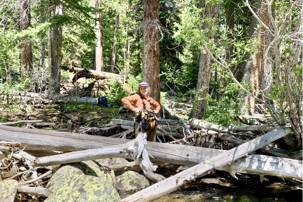 Forest with woman