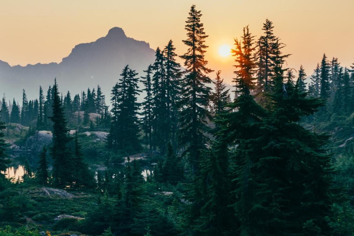 Morning mountain scene with pond and forest
