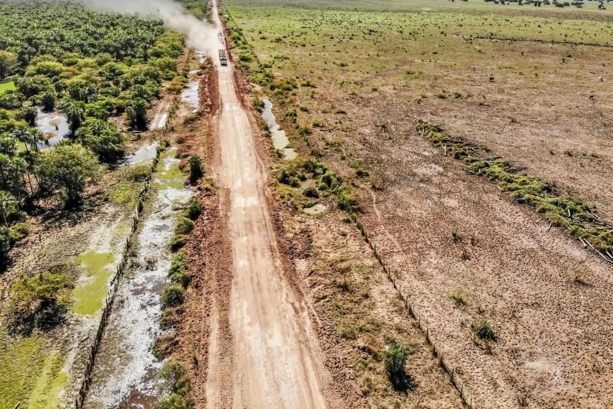 Drone shot of dirt road with forest on one and clear cut tree on other side