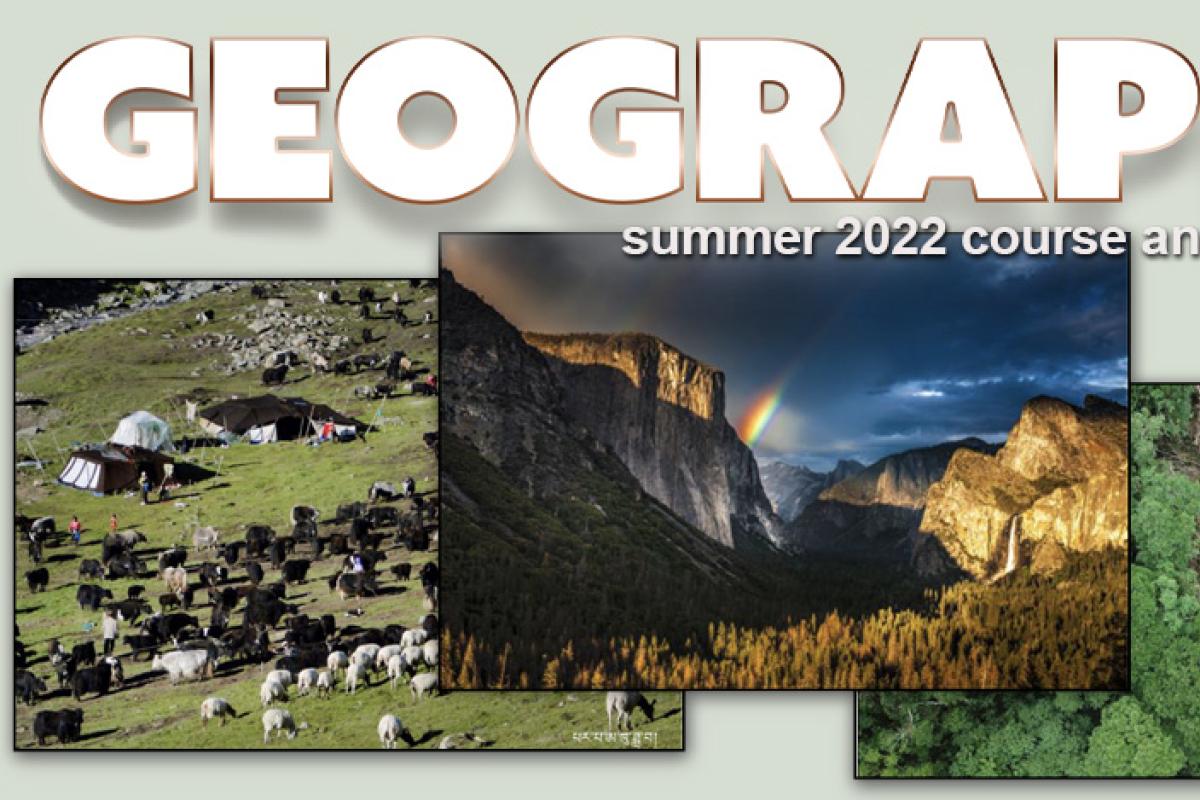 Sheep, mountains, barren land