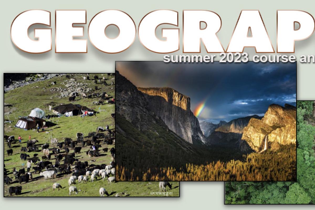 Herd, mountains, drone shot