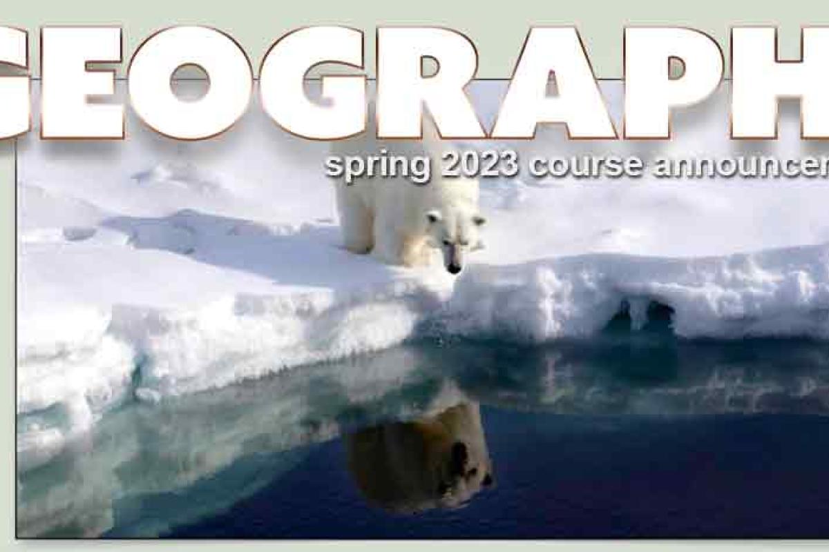Polar peering into water