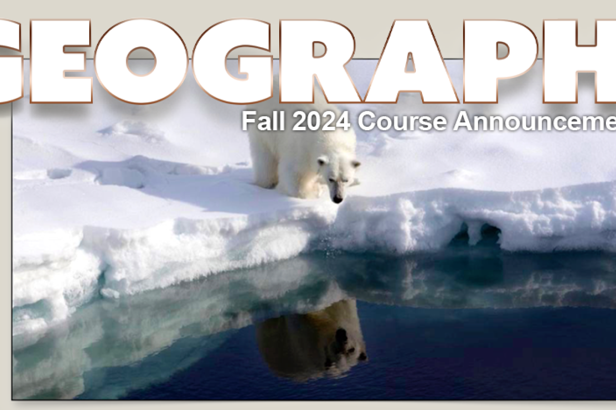 Polar Bear