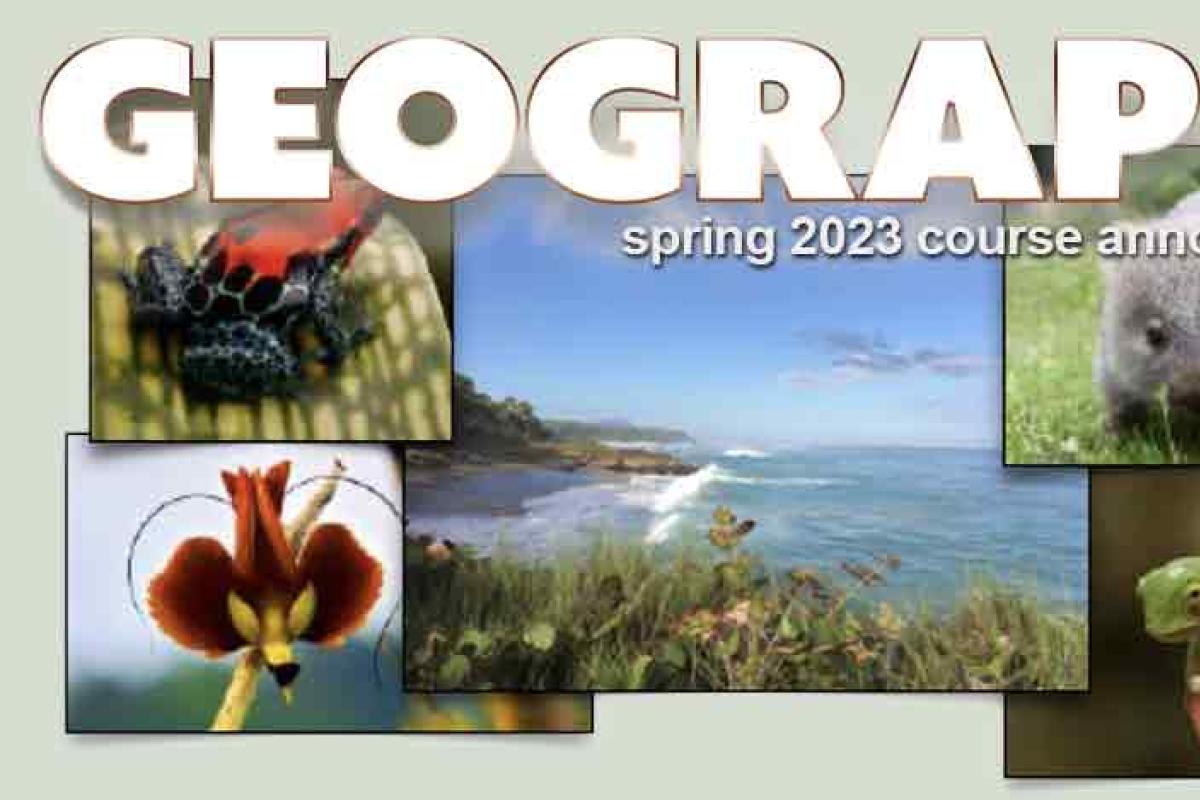 Animals, flower, and beach