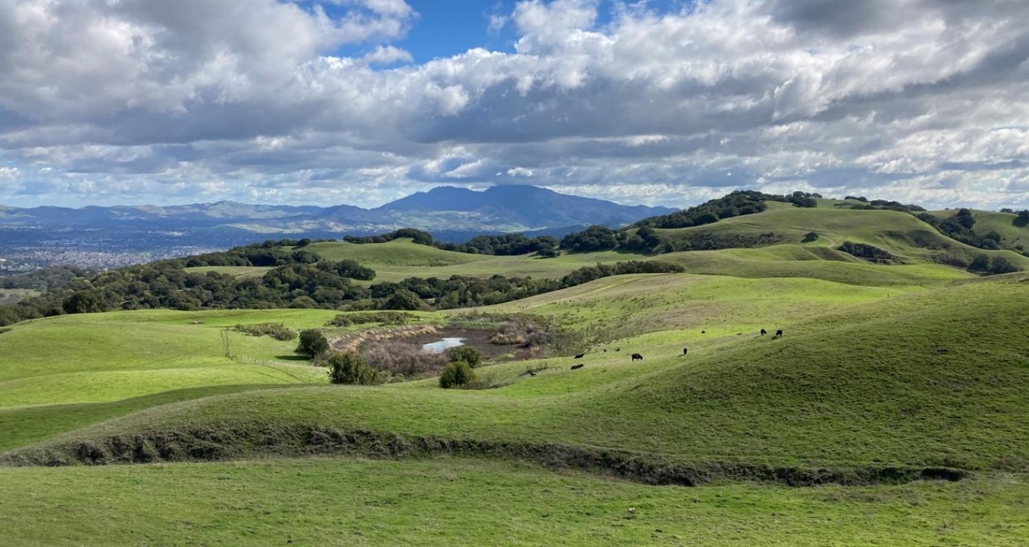 Example of a working landscape, in Richmond, California.