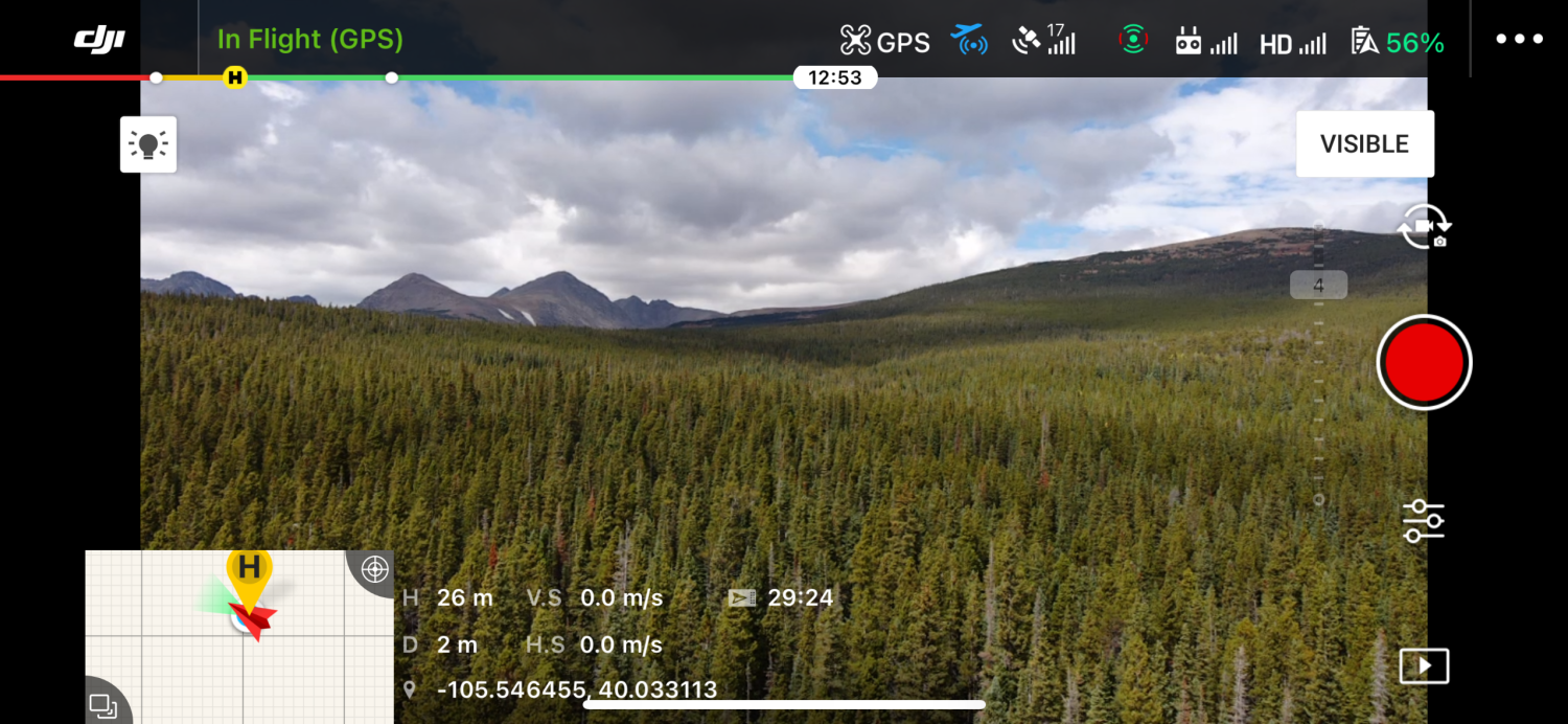 Drone Eye's View