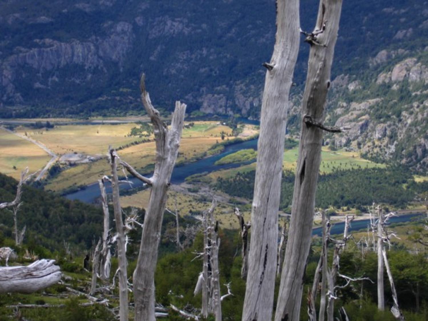 Patagonia Cover