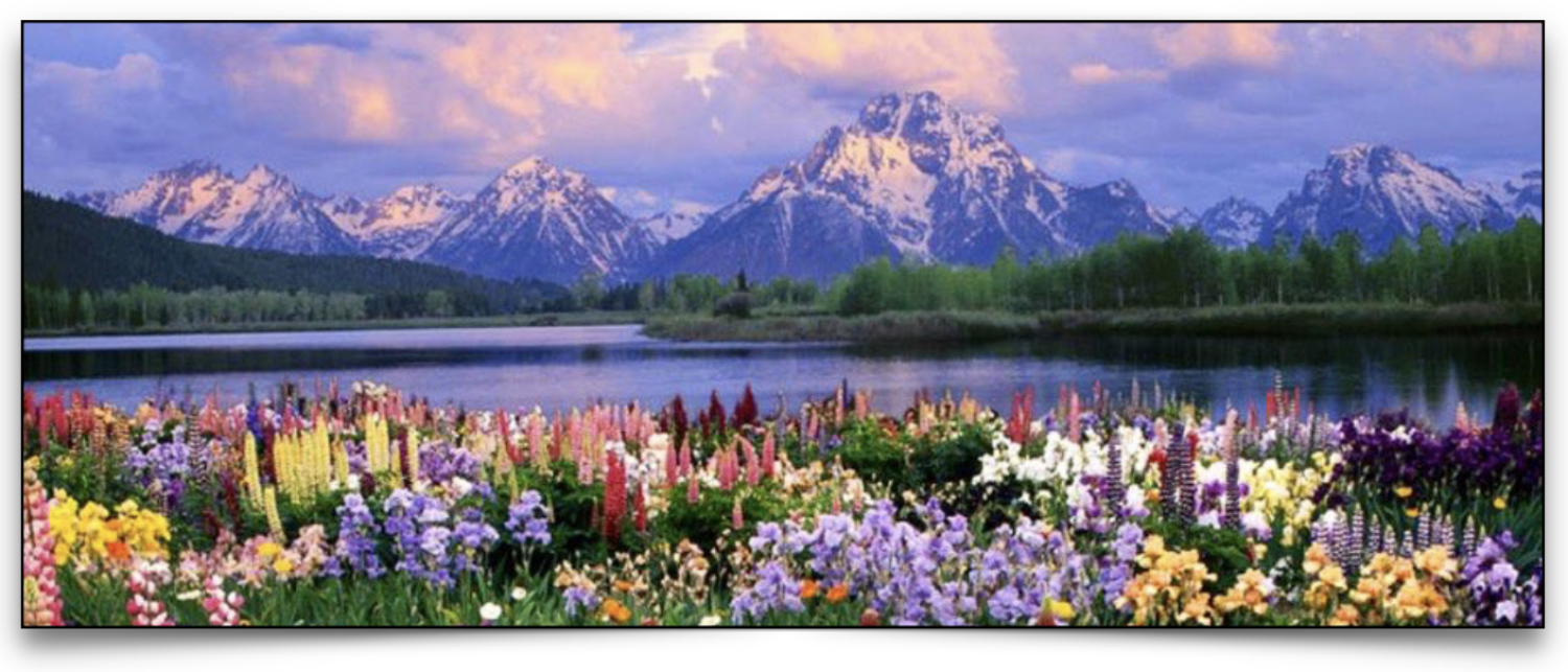 Mountain landscape with lake and foreground flowers