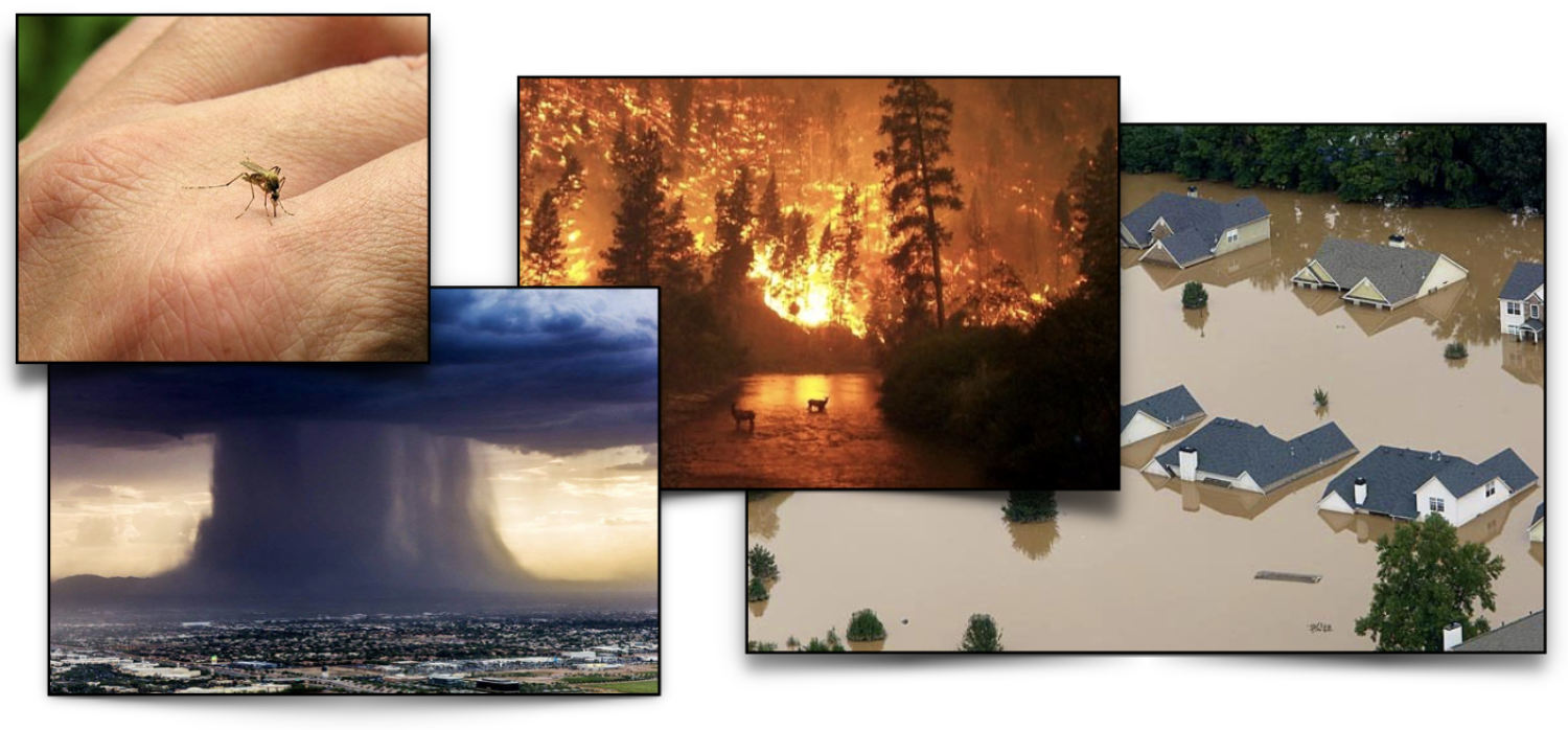 Photocollage of mosquito biting hand, a super storm, wildfire, and a flooded housing development