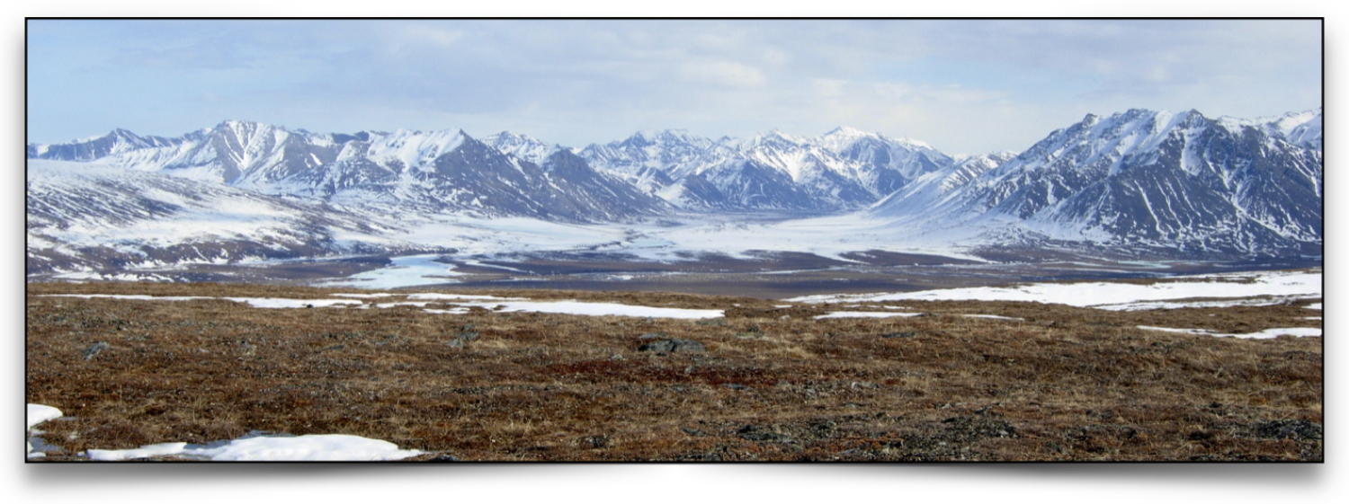 Arctic landscape with mountains