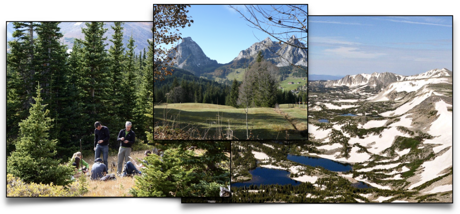 Collage of students doing research and mountain terrain in summer and winter