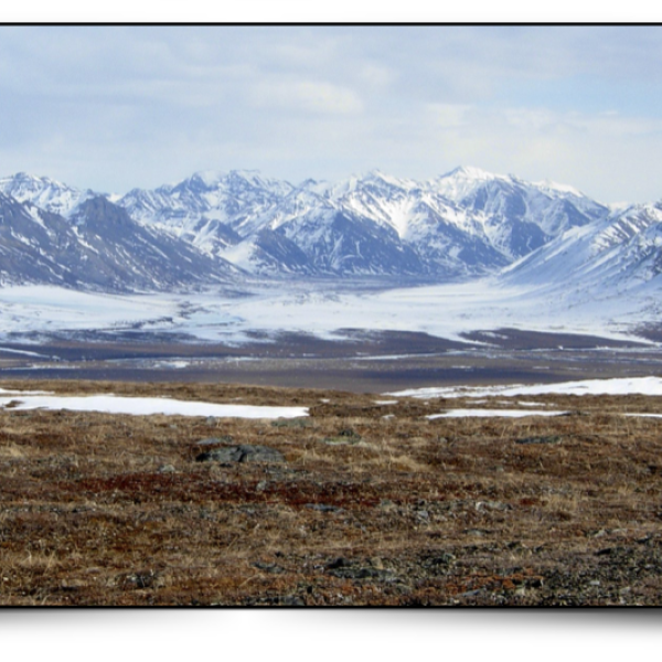 Arctic landscape with mountains