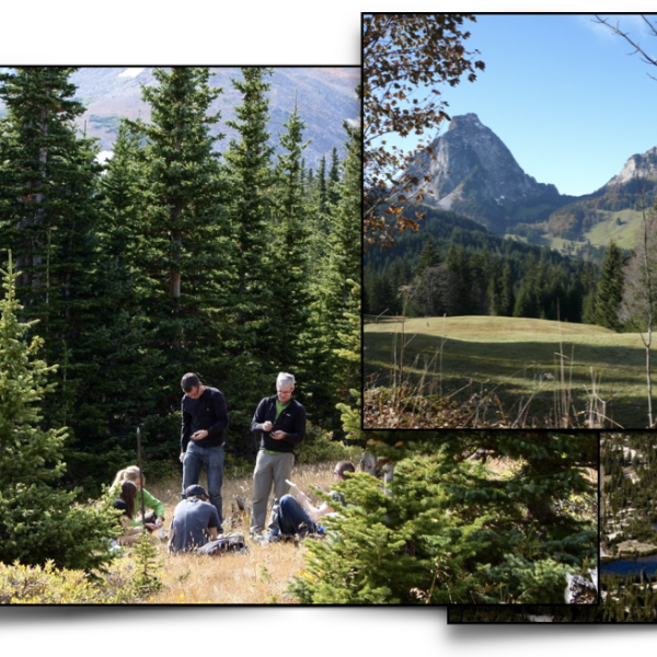 Collage of students doing research and mountain terrain in summer and winter