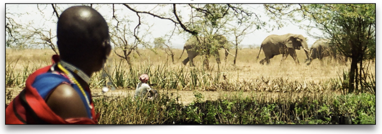 Elephants passing by African field with African onlookers