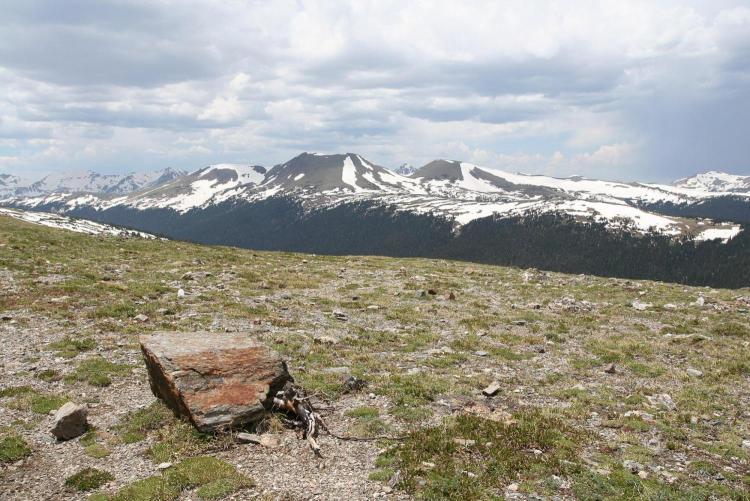 Arctic tundra with mountain landscape backdrop