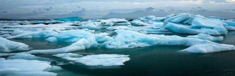 arctic sea ice