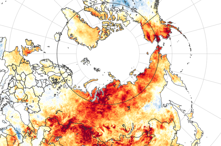 Arctic Heat Map
