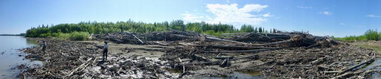 River jammed with deadwood
