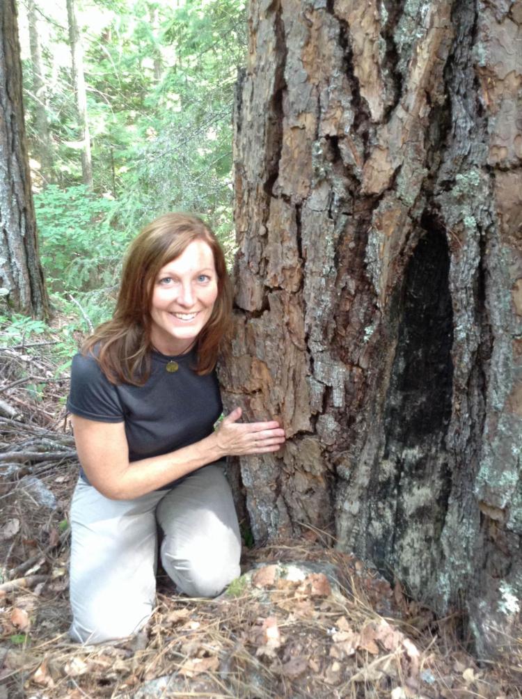 Woman stooped next to fire scarred pine tree
