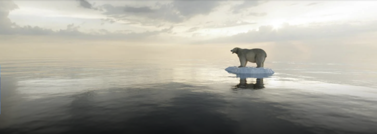 Polar bear on tiny floating ice