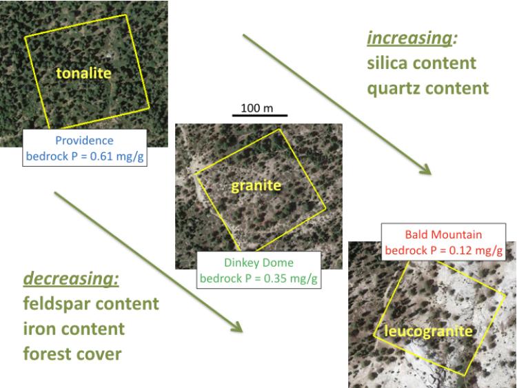 geologic graph