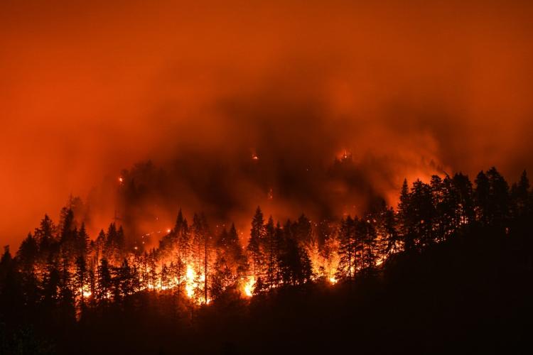 Wildfire showing a mountainside burning