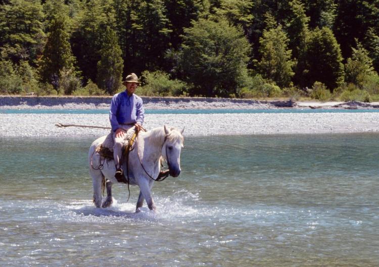 Man on horseback crossing a stream in Argentina
