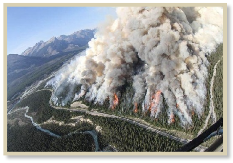 Aerial view of forest fire in Alberta, Canada