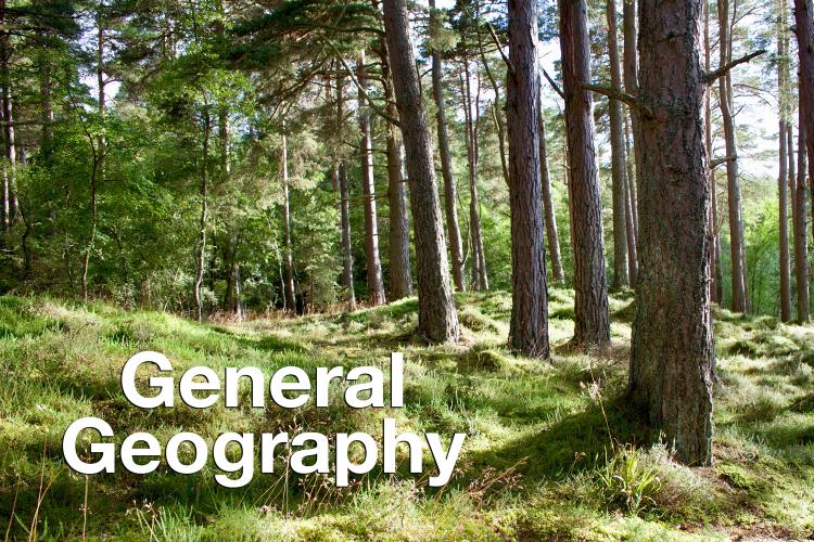 "General Geography" overlaid on photo of pine trees in a forest