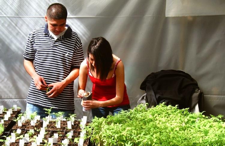 Two people working on a garden