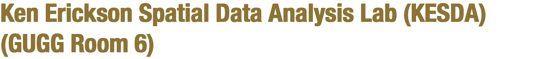 Ken Erickson Spatial Data Analysis Lab (KESDA) (GUGG Room 6)