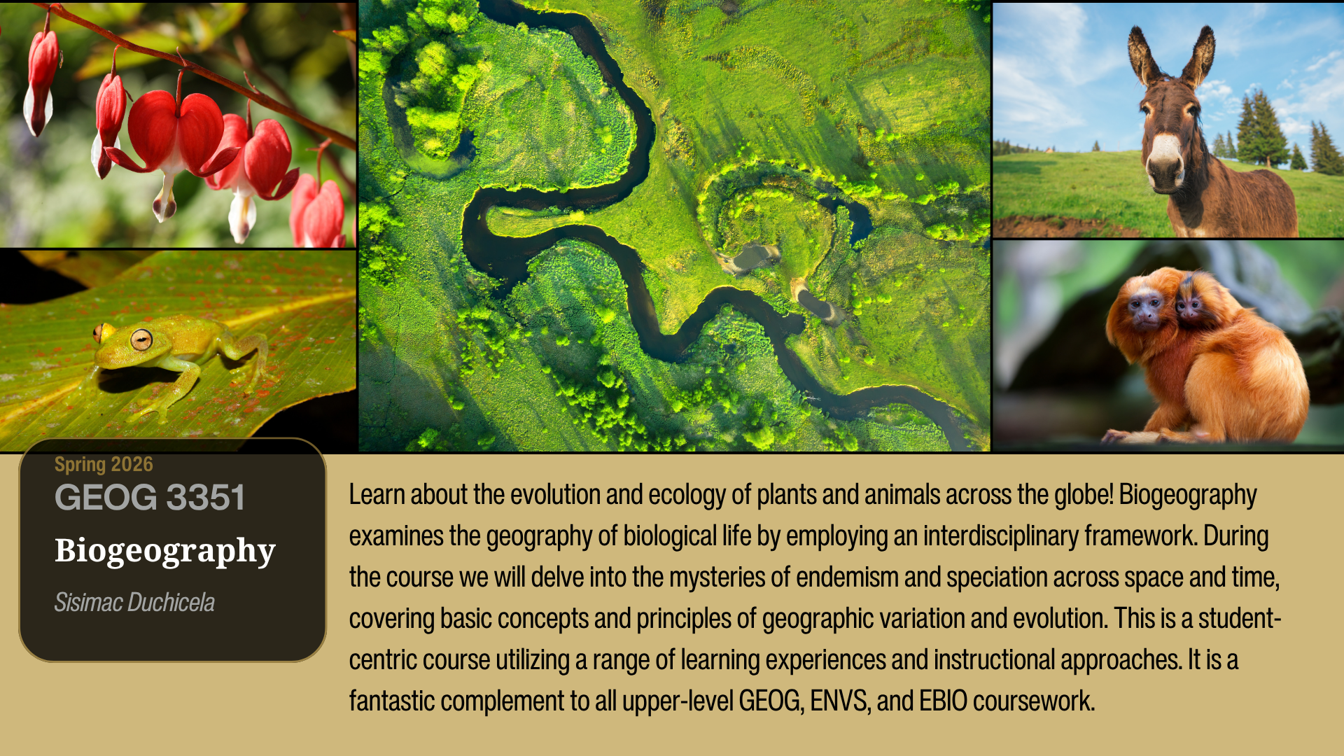 GEOG3351