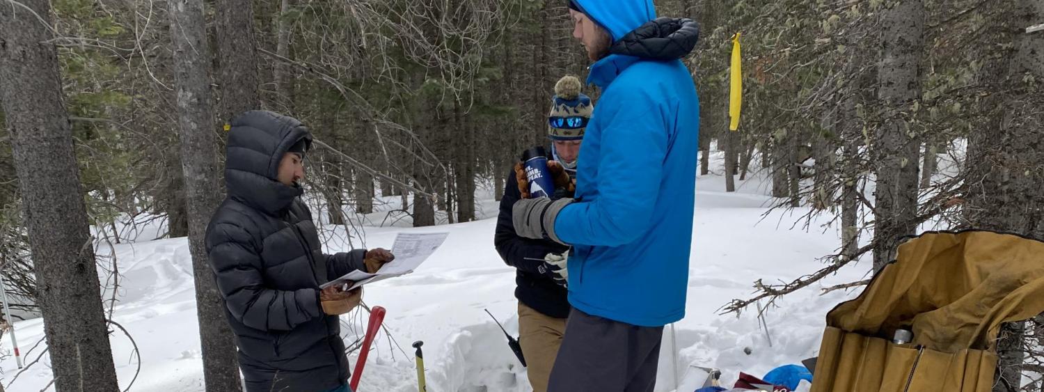 Intern at Mountain Research Station at Niwot Ridge, 2020