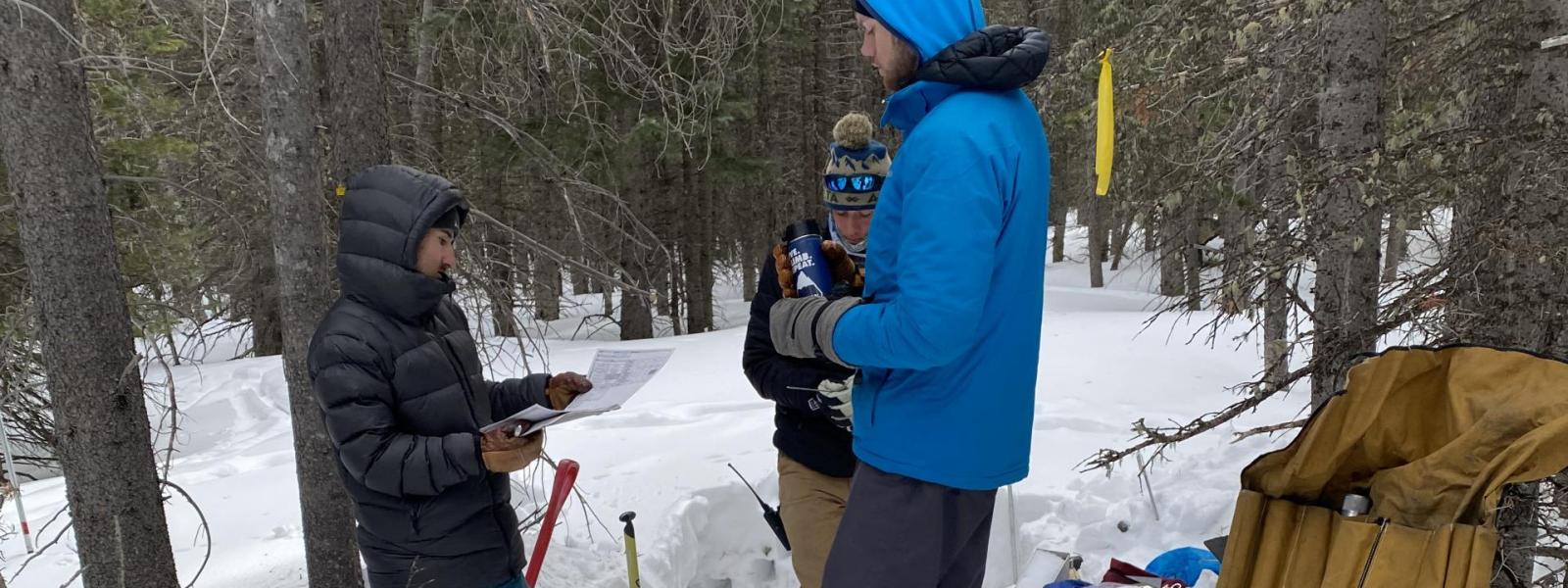 Intern at Mountain Research Station at Niwot Ridge, 2020