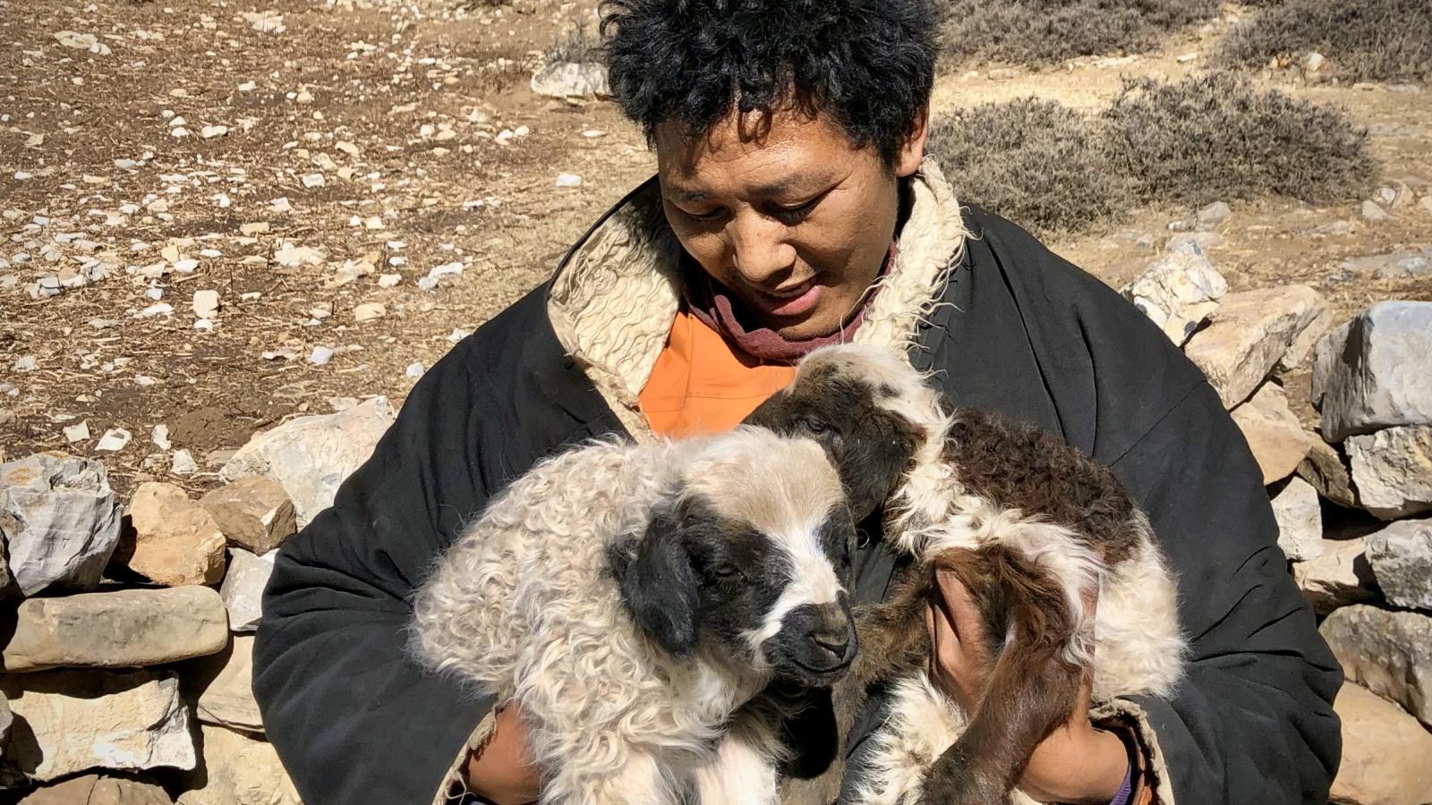 Phurwa and goats