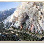 Aerial view of forest fire in Alberta Canada