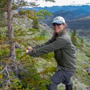 Woman drilling a hole in a small tree in the mountains