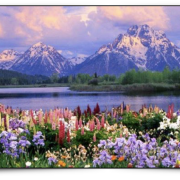 Mountain landscape with lake and foreground flowers