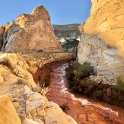 Mountain Stream