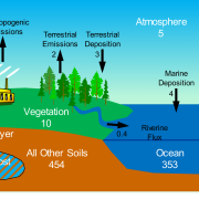 Mercury cycle graphic